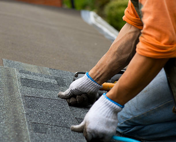 Best Gutter Installation and Roofing  in League City, TX